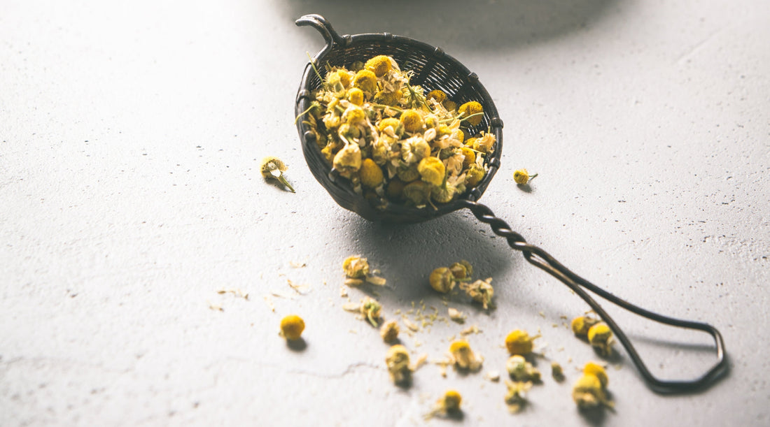 6 Surprising Benefits of Chamomile Tea That'll Make You Feel Better Instantly VERTUS TEA