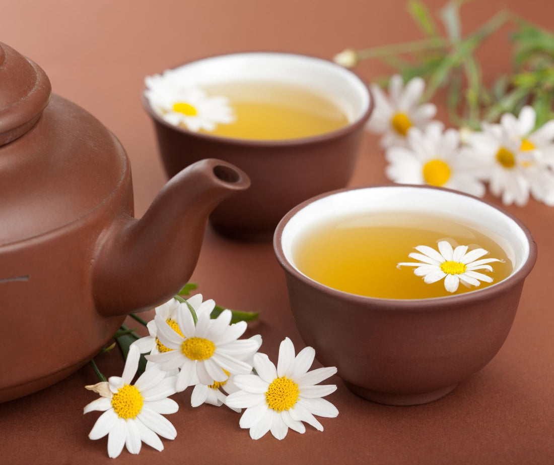 Discover the Benefits of Chamomile Tea: 5 Reasons to Indulge Now VERTUS TEA