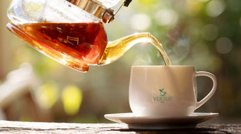 Vertus Tea Exploring Kangra Tea: Heritage, Health Benefits & First Flush Green Tea ...