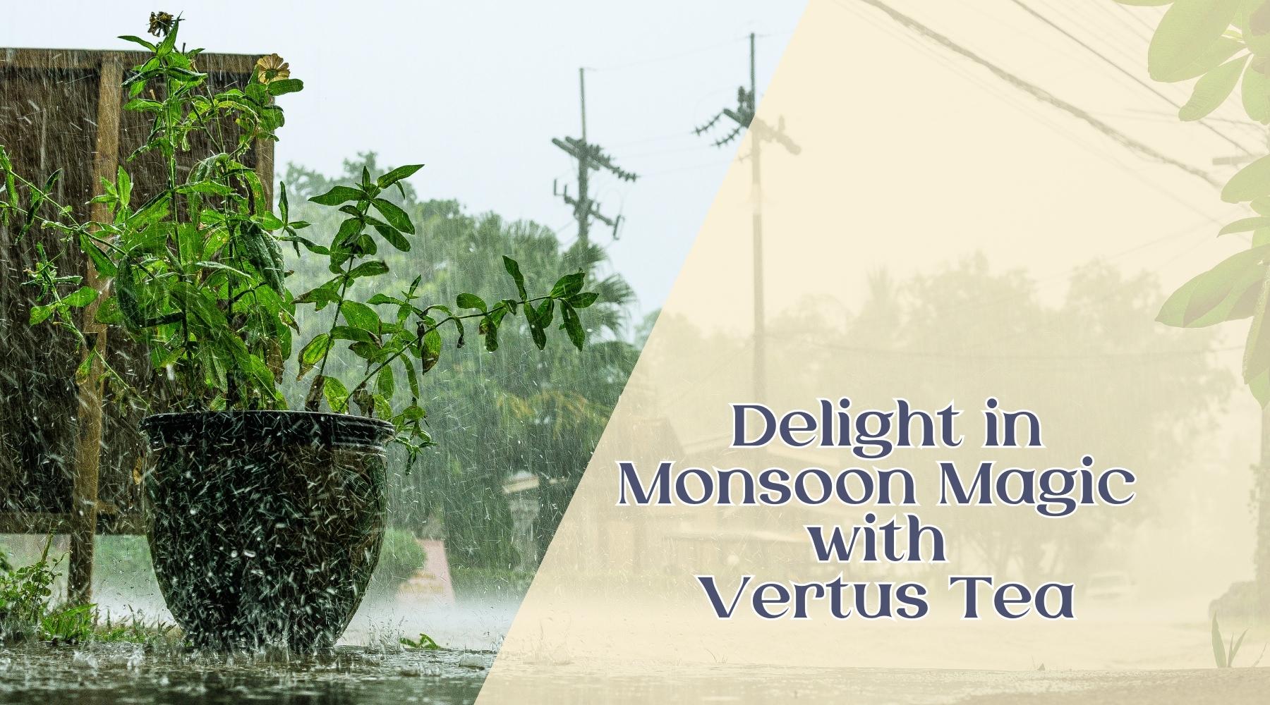Vertus Tea Indulge in Vertus Organic Green Tea: A Delightful Journey Through Their ...