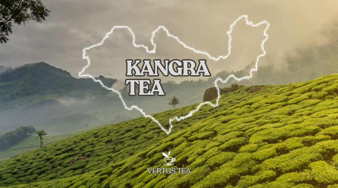 kangra tea 