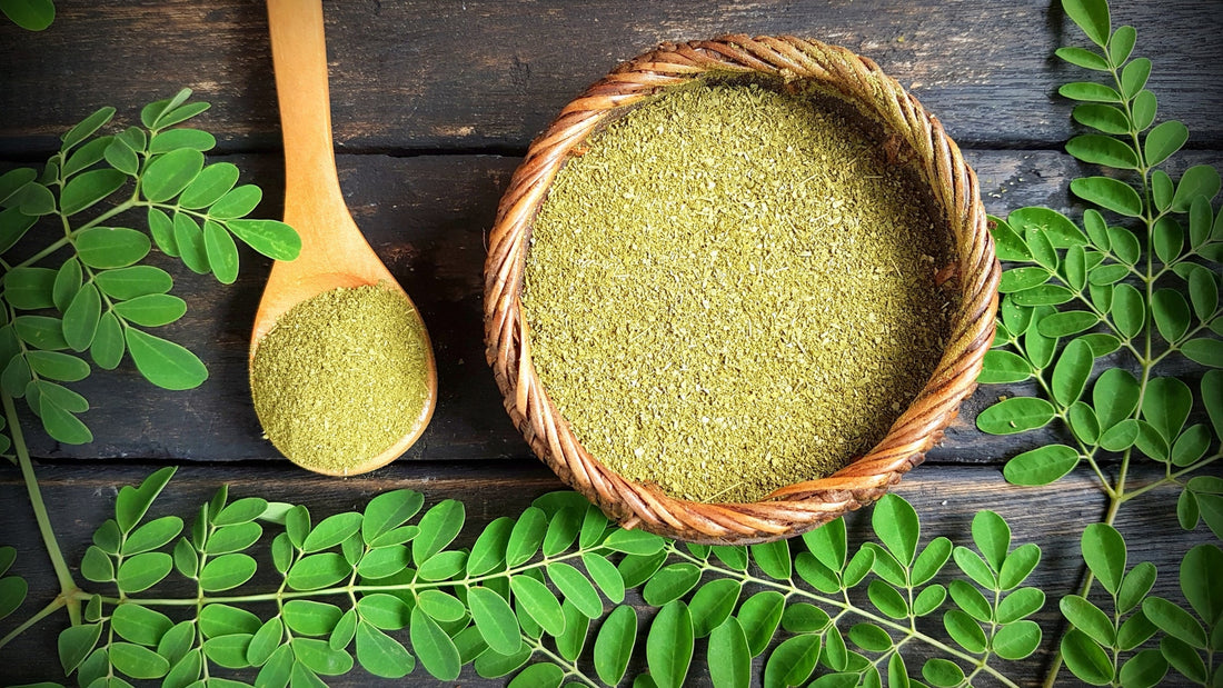 Moringa: The Miracle Herb Unveiled VERTUS TEA