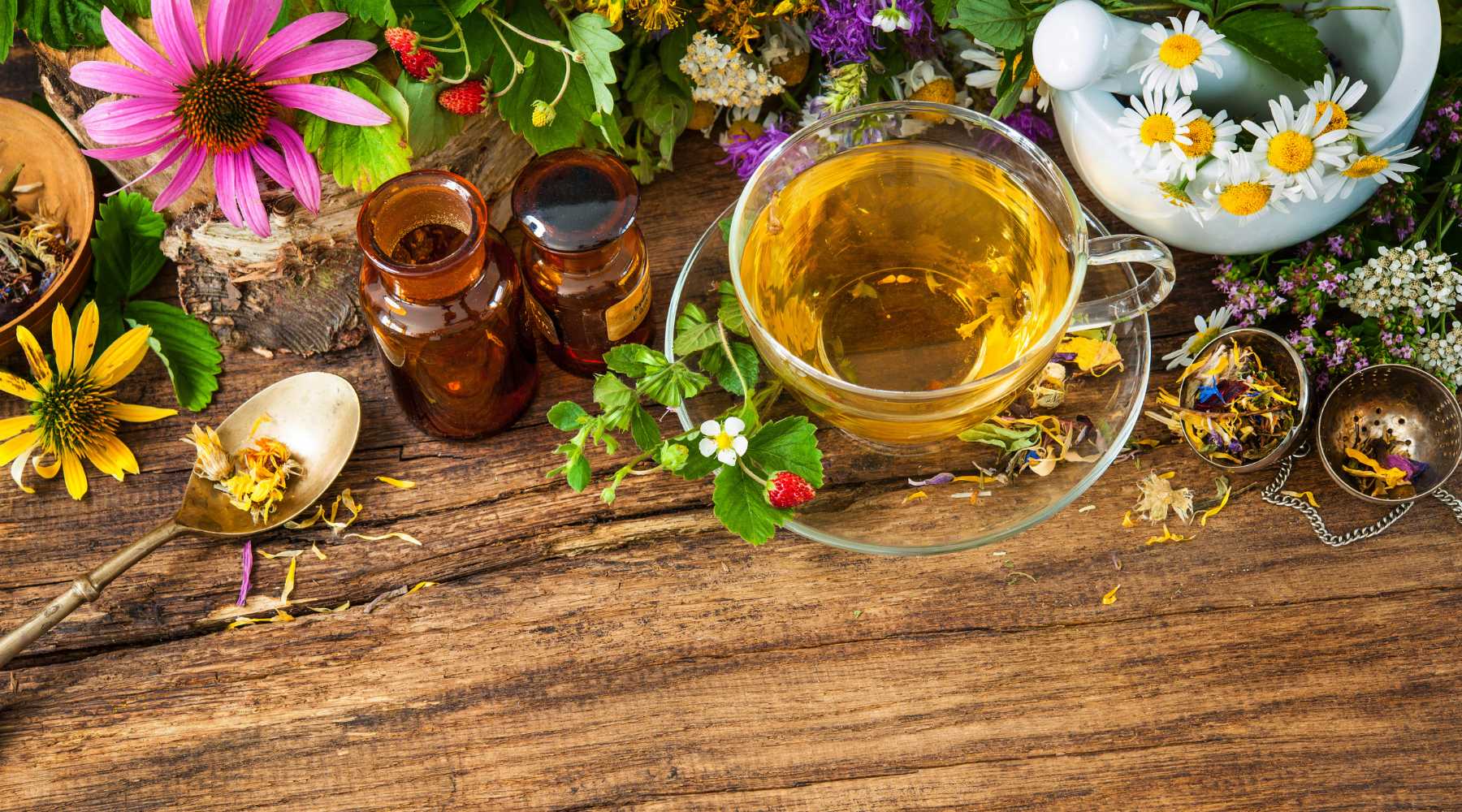 Vertus Tea The Art of Brewing the Perfect Cup of Organic Herbal Tea | Vertus Tea ...