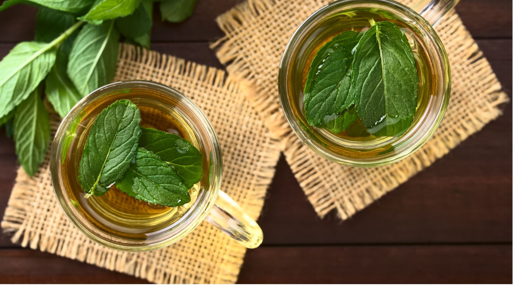 Vertus Tea THE ULTIMATE GUIDE TO GREEN TEA WITH SPEARMINT & PEPPERMINT – VERTUS TEA